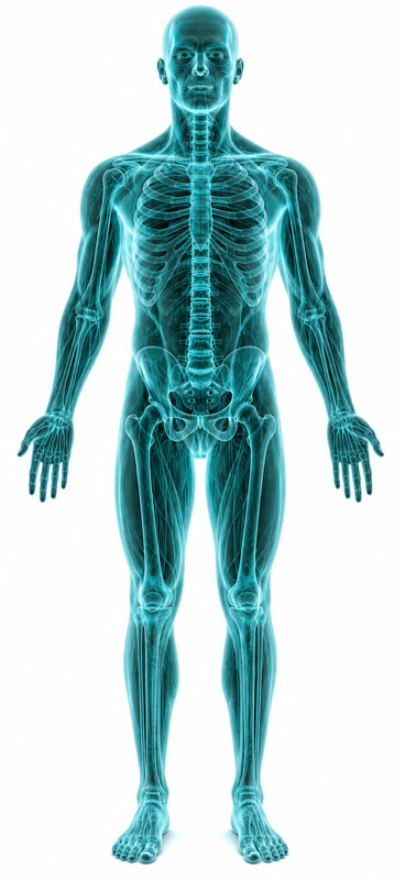 Corpo humano em estilo raio-X com pontos de risco nas articulações